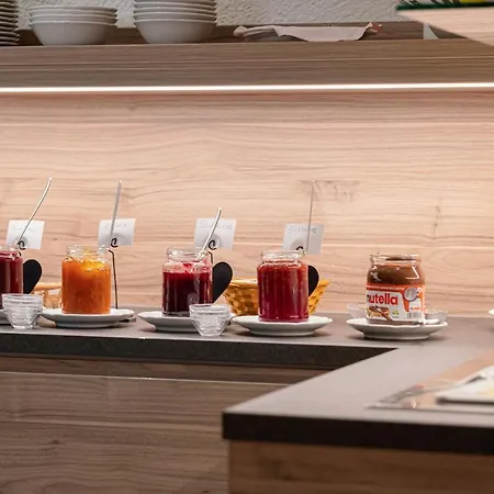 Phonix Guest house Rastatt