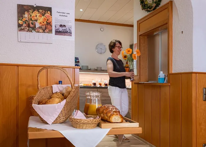 Phonix Guest house Rastatt